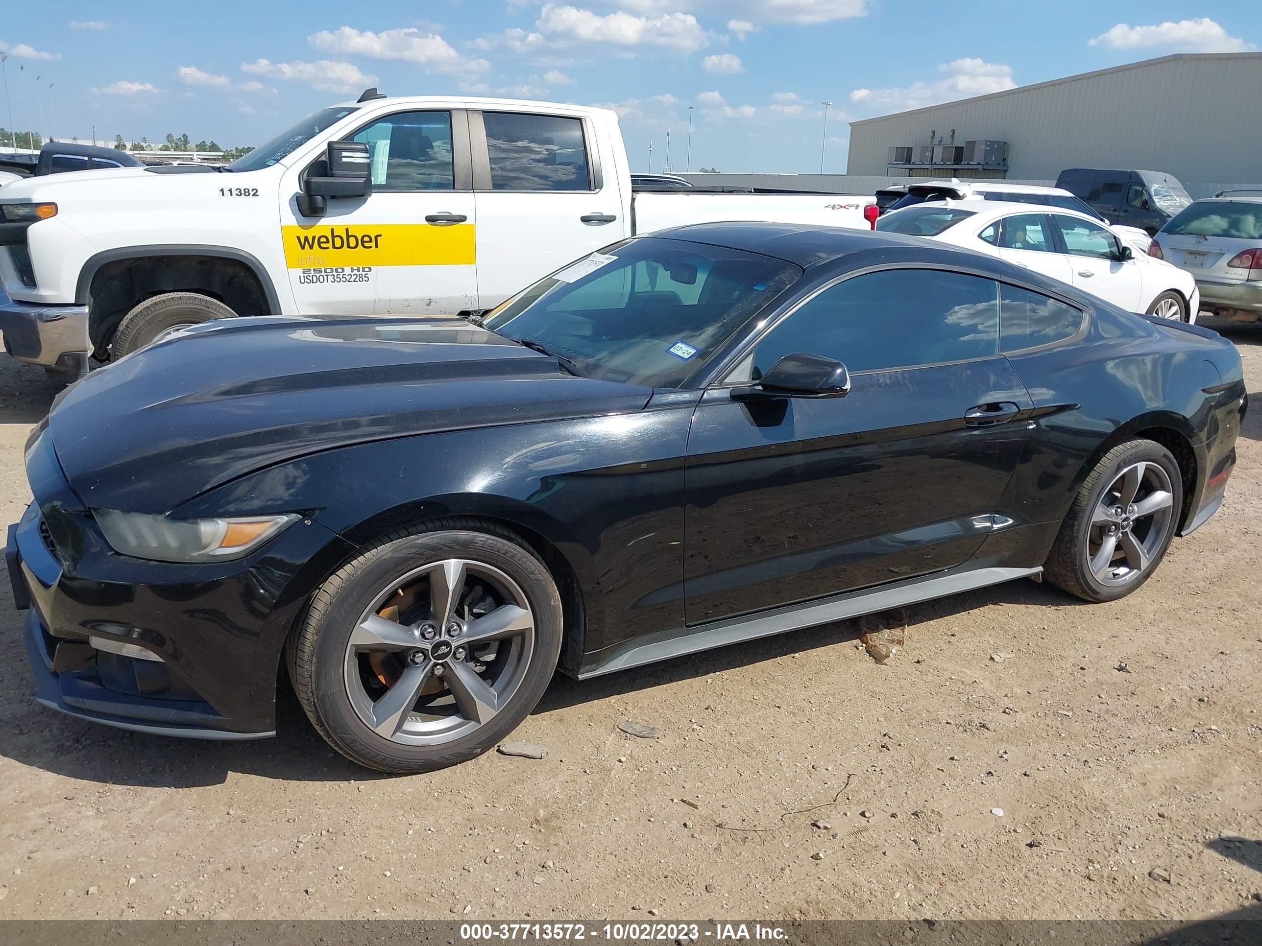 Photo 13 VIN: 1FA6P8AM3F5337558 - FORD MUSTANG 