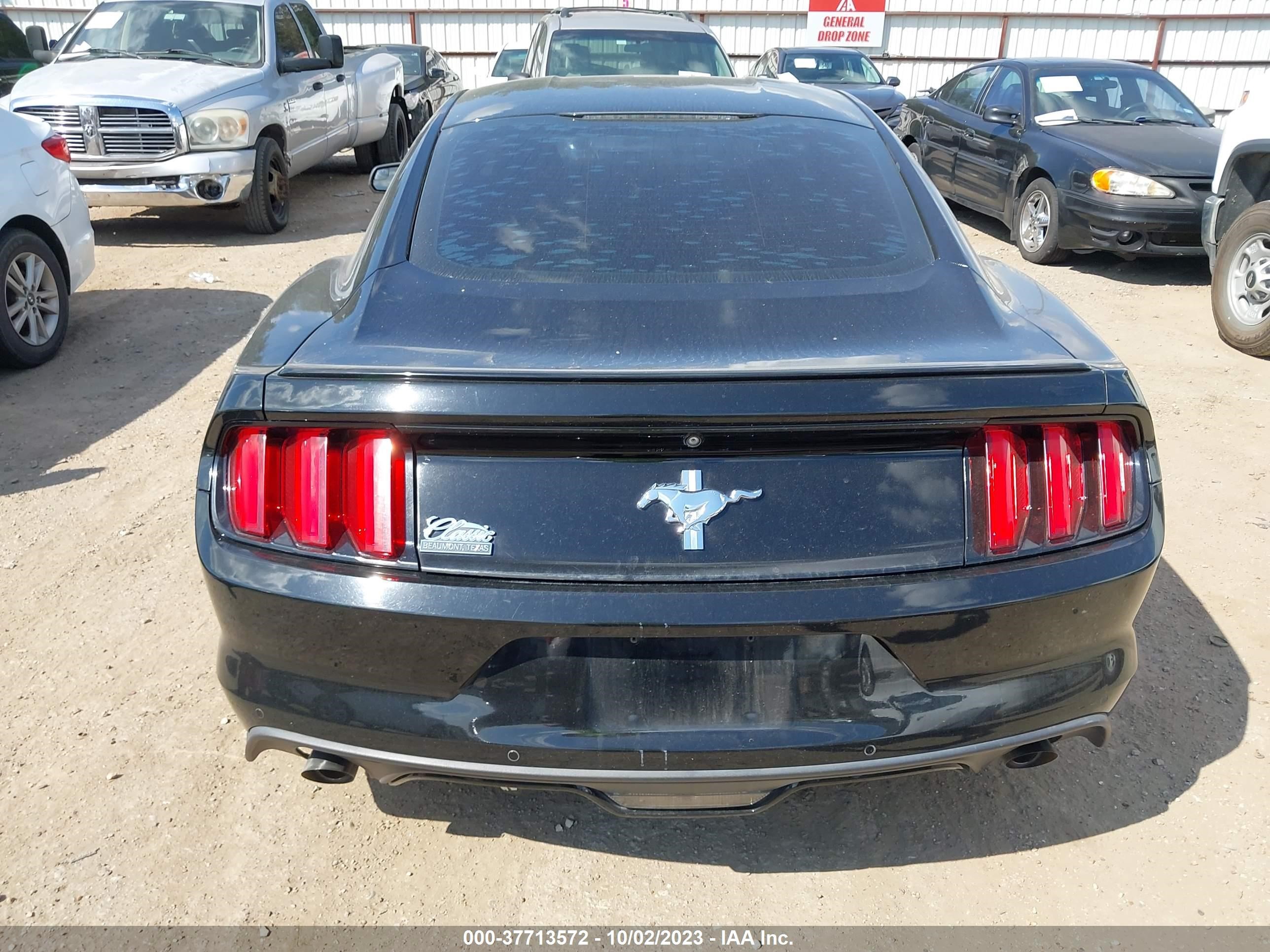 Photo 15 VIN: 1FA6P8AM3F5337558 - FORD MUSTANG 