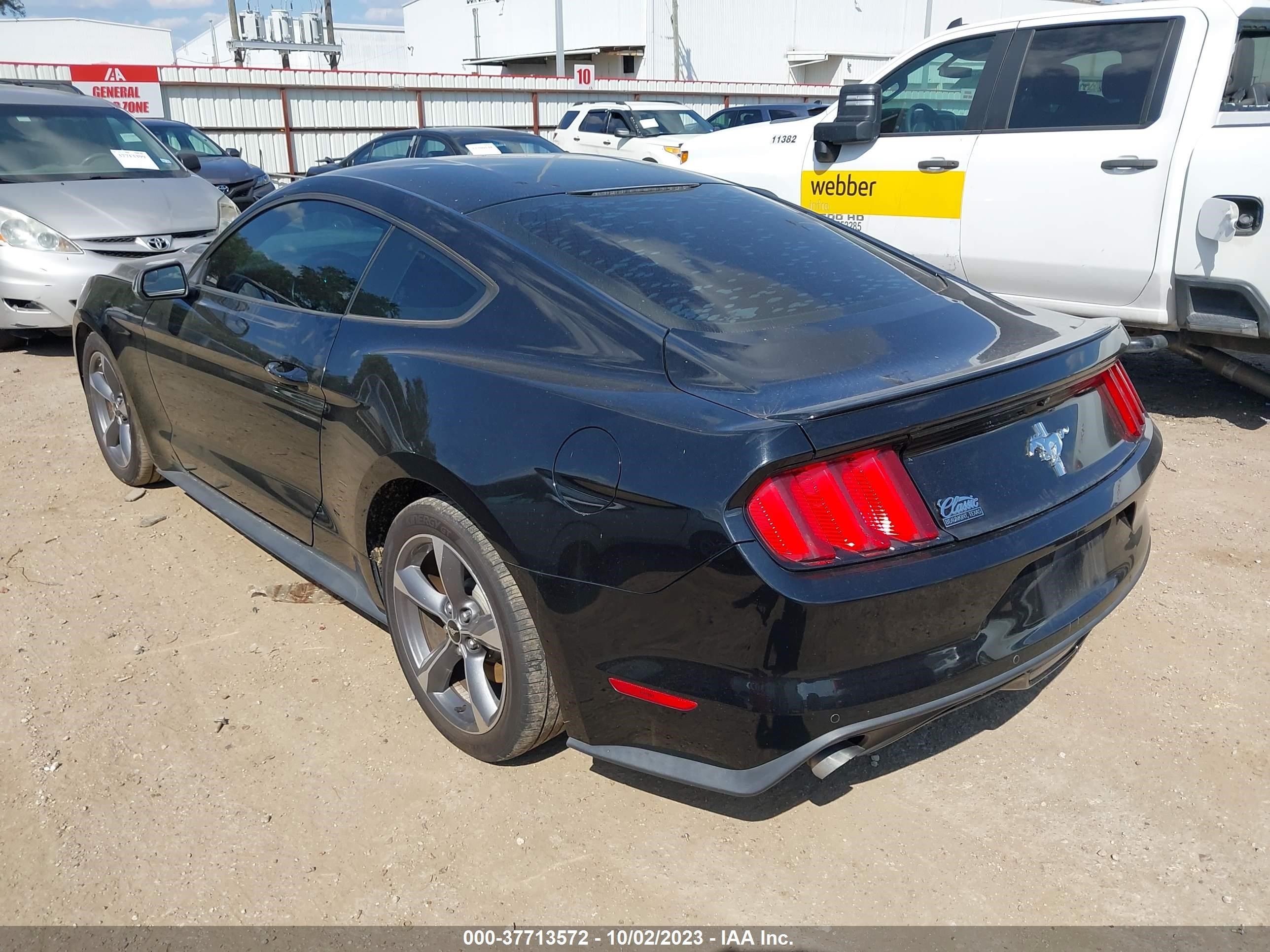 Photo 2 VIN: 1FA6P8AM3F5337558 - FORD MUSTANG 