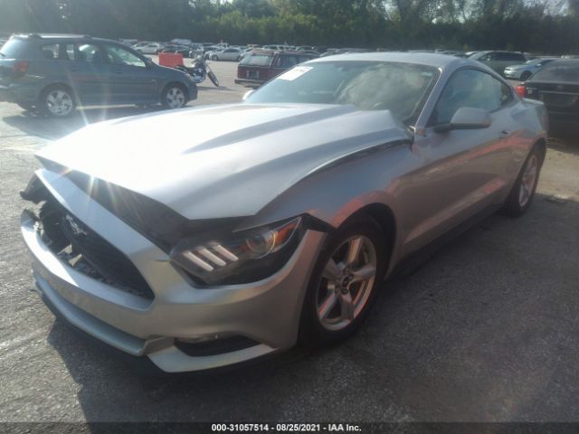 Photo 1 VIN: 1FA6P8AM3F5342310 - FORD MUSTANG 