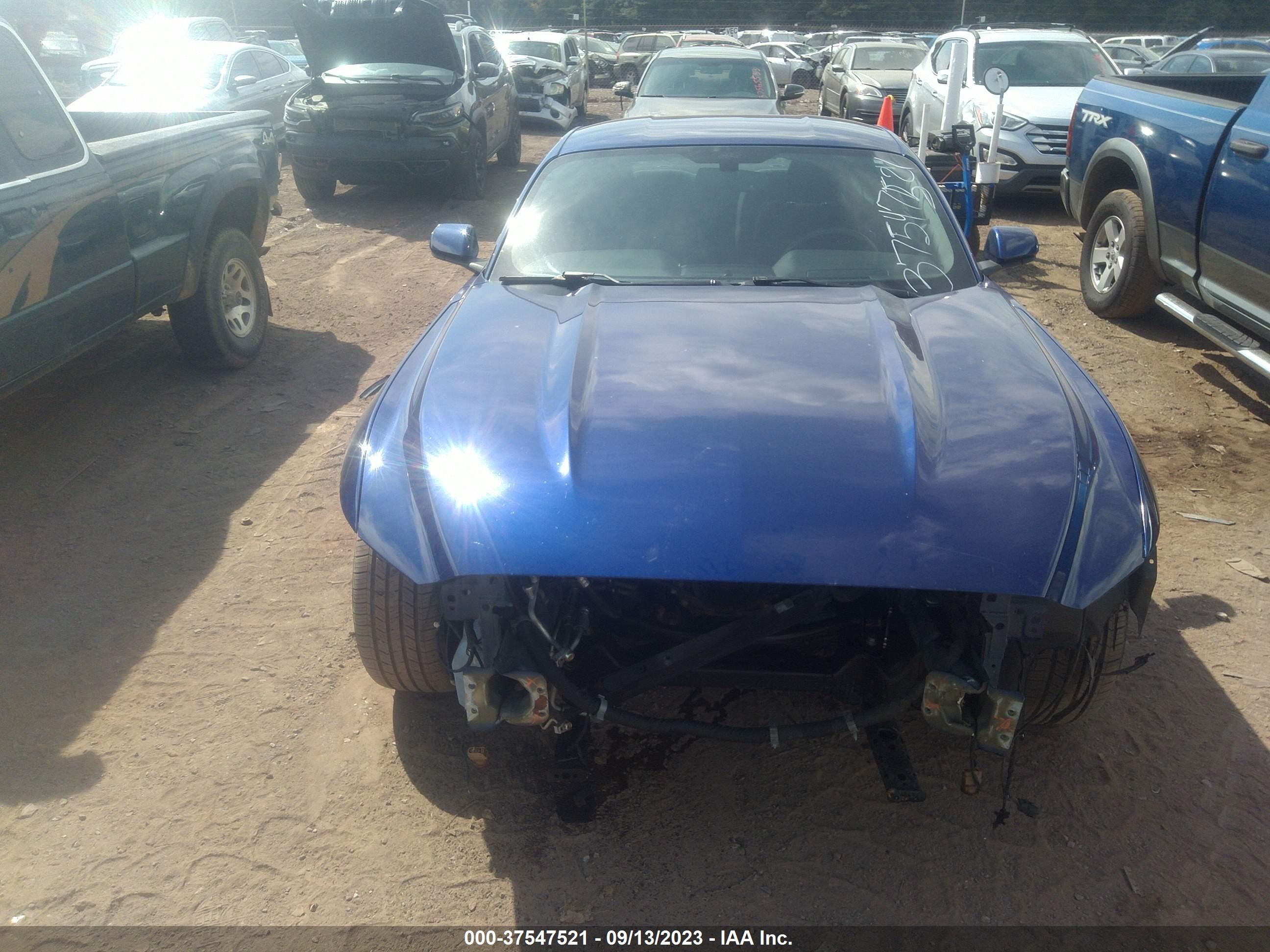 Photo 11 VIN: 1FA6P8AM3F5347328 - FORD MUSTANG 