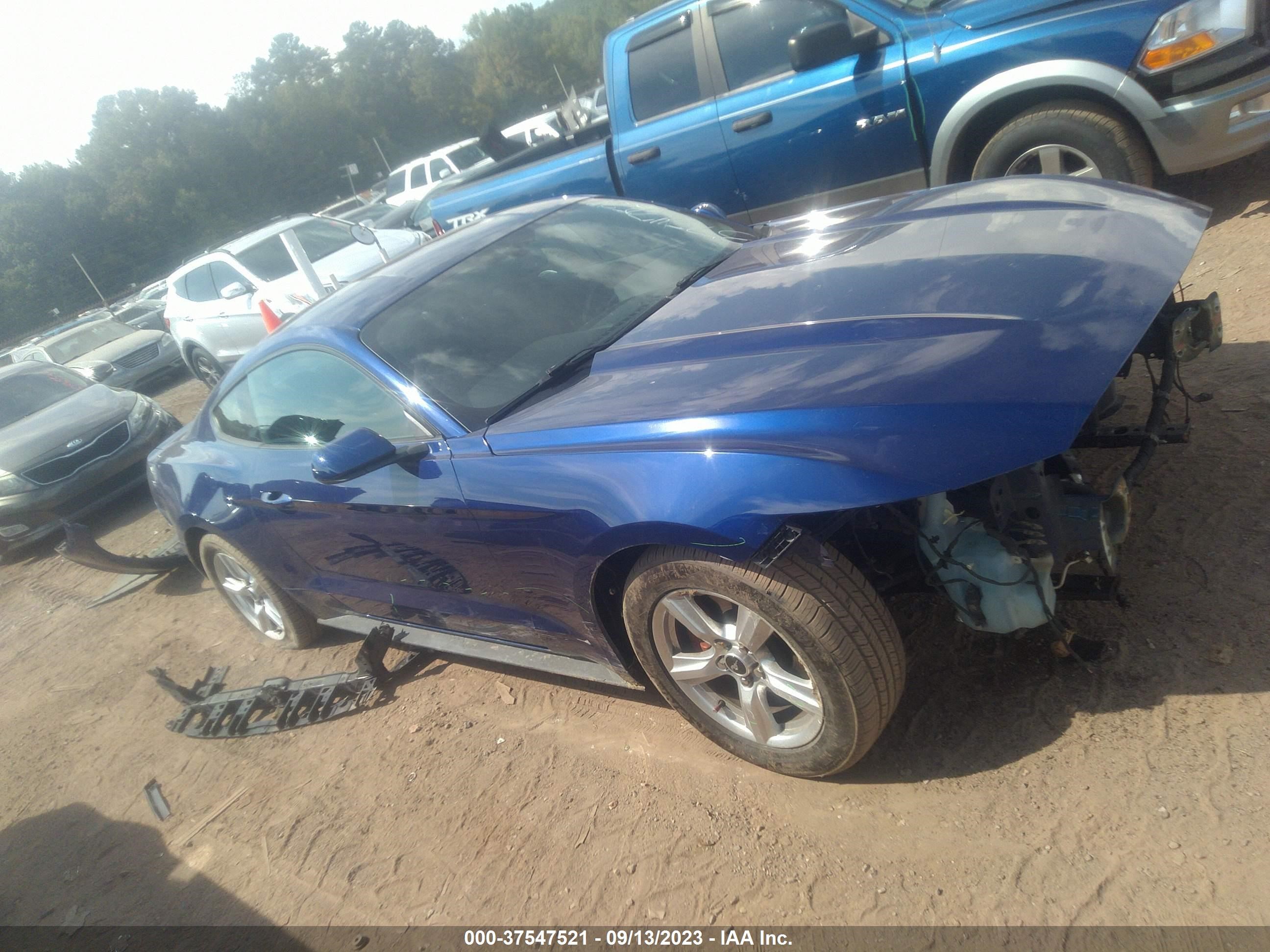 Photo 12 VIN: 1FA6P8AM3F5347328 - FORD MUSTANG 