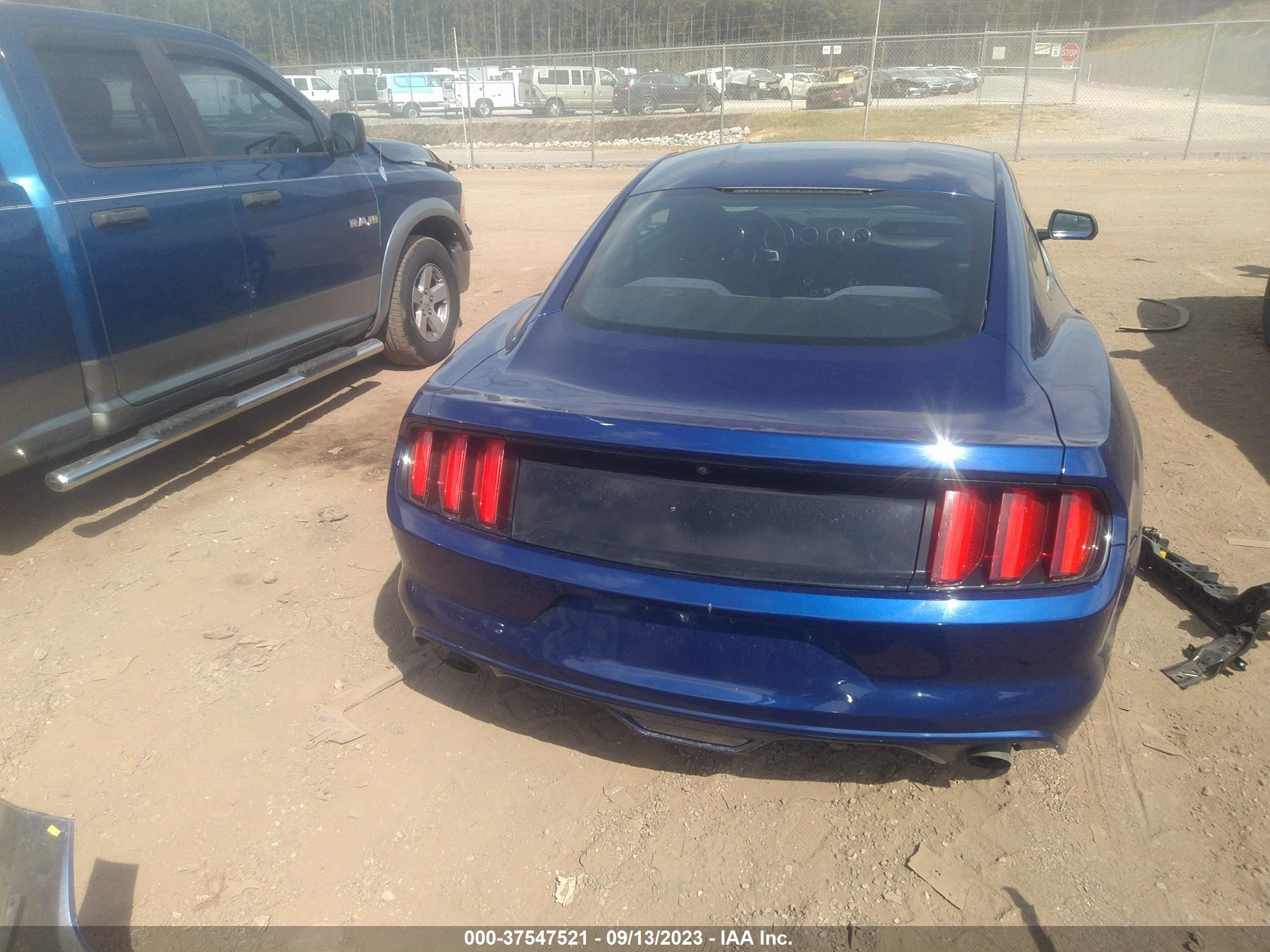 Photo 15 VIN: 1FA6P8AM3F5347328 - FORD MUSTANG 