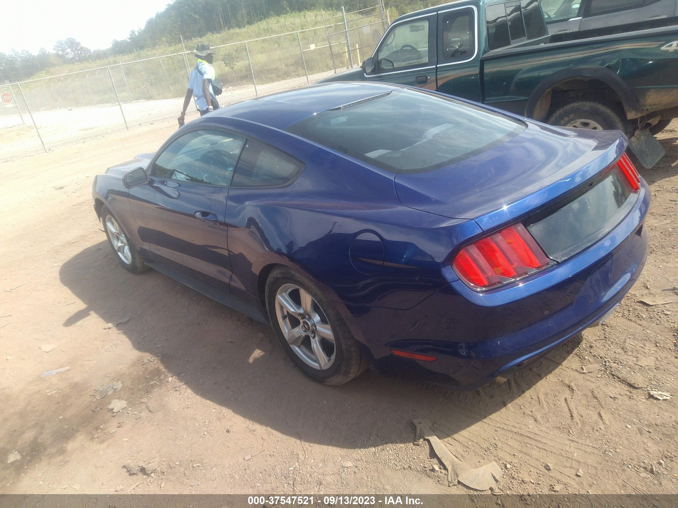 Photo 2 VIN: 1FA6P8AM3F5347328 - FORD MUSTANG 