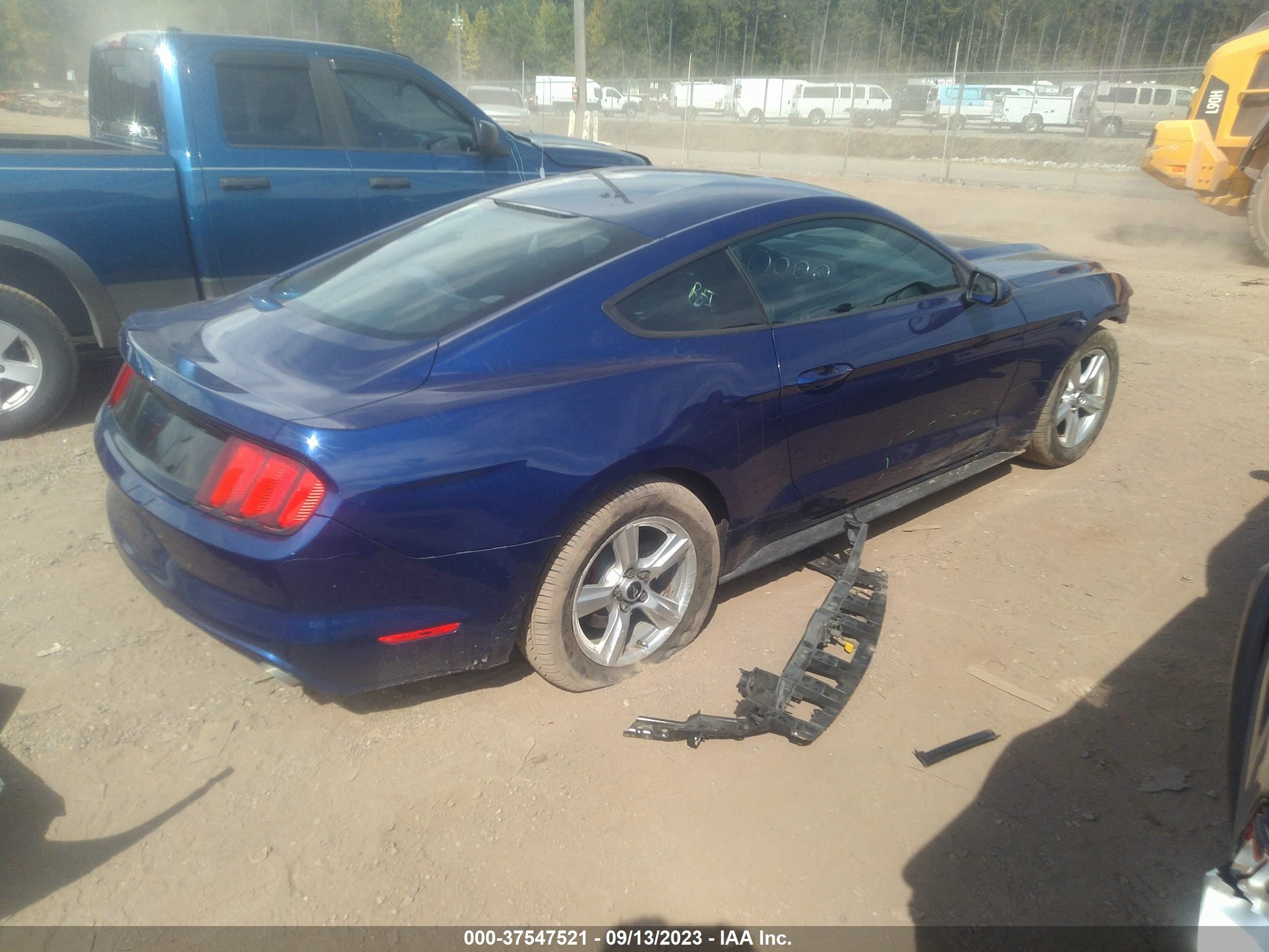 Photo 3 VIN: 1FA6P8AM3F5347328 - FORD MUSTANG 