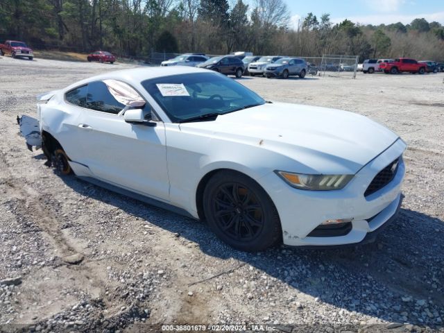 Photo 0 VIN: 1FA6P8AM3F5390339 - FORD MUSTANG 