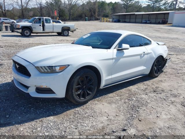 Photo 1 VIN: 1FA6P8AM3F5390339 - FORD MUSTANG 