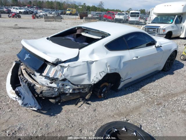 Photo 3 VIN: 1FA6P8AM3F5390339 - FORD MUSTANG 