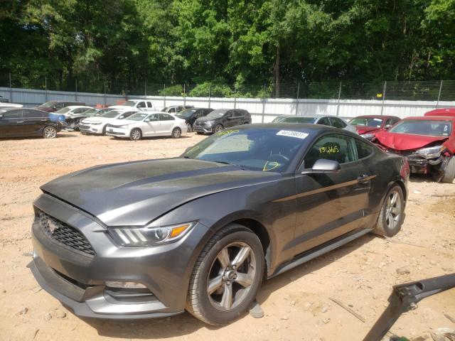 Photo 1 VIN: 1FA6P8AM3F5429074 - FORD MUSTANG 