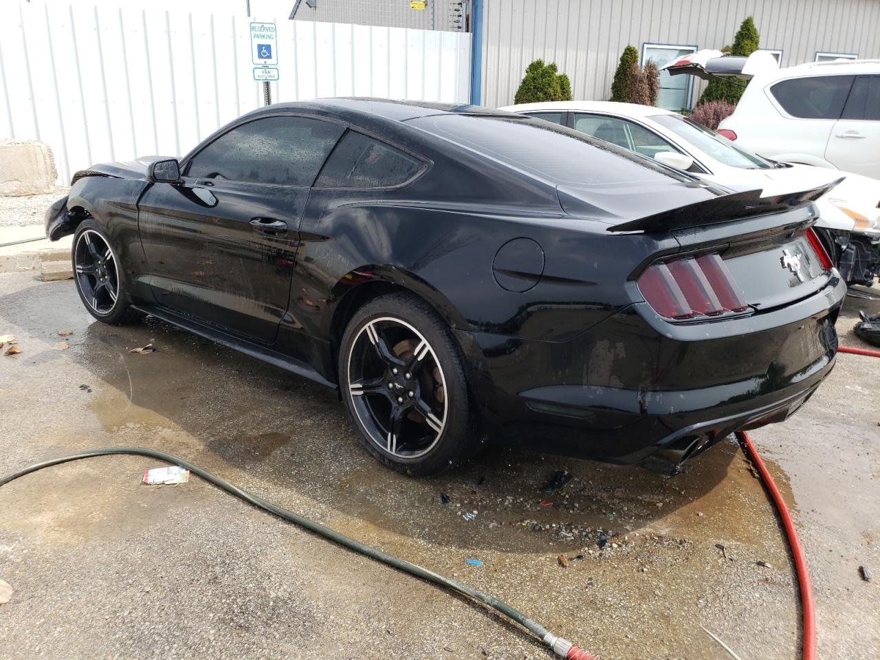 Photo 1 VIN: 1FA6P8AM3G5208415 - FORD MUSTANG 