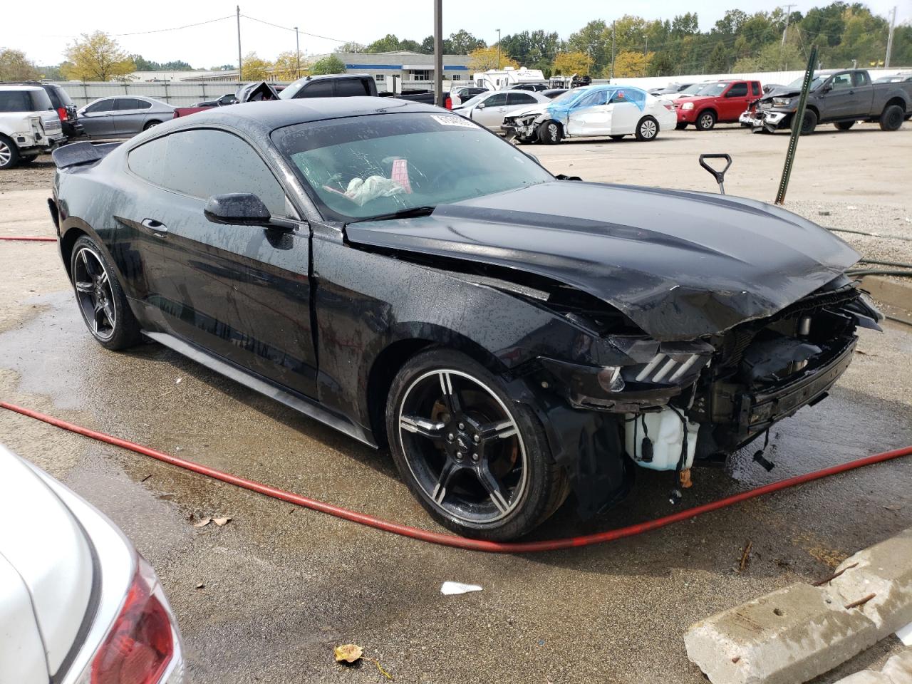 Photo 3 VIN: 1FA6P8AM3G5208415 - FORD MUSTANG 