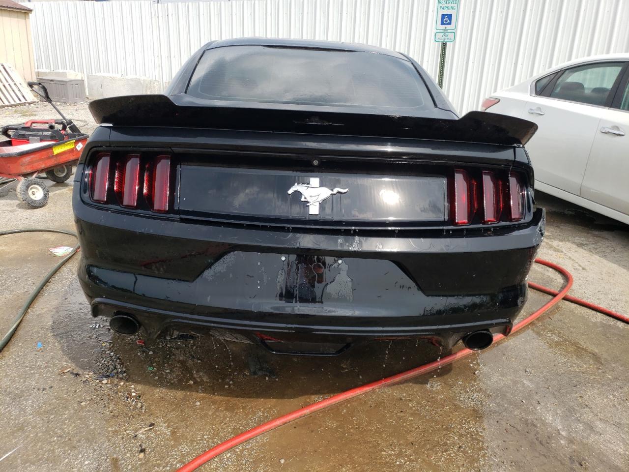 Photo 5 VIN: 1FA6P8AM3G5208415 - FORD MUSTANG 