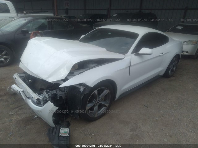 Photo 1 VIN: 1FA6P8AM3G5214974 - FORD MUSTANG 