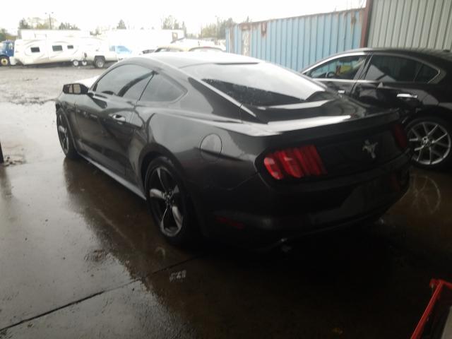 Photo 2 VIN: 1FA6P8AM3G5240426 - FORD MUSTANG 