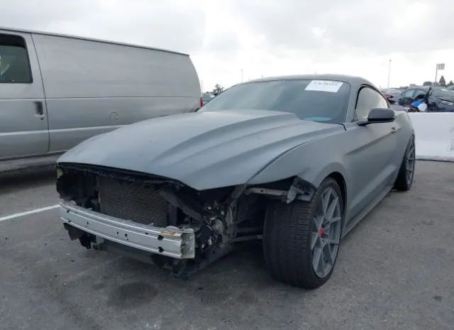 Photo 5 VIN: 1FA6P8AM3G5261163 - FORD MUSTANG 