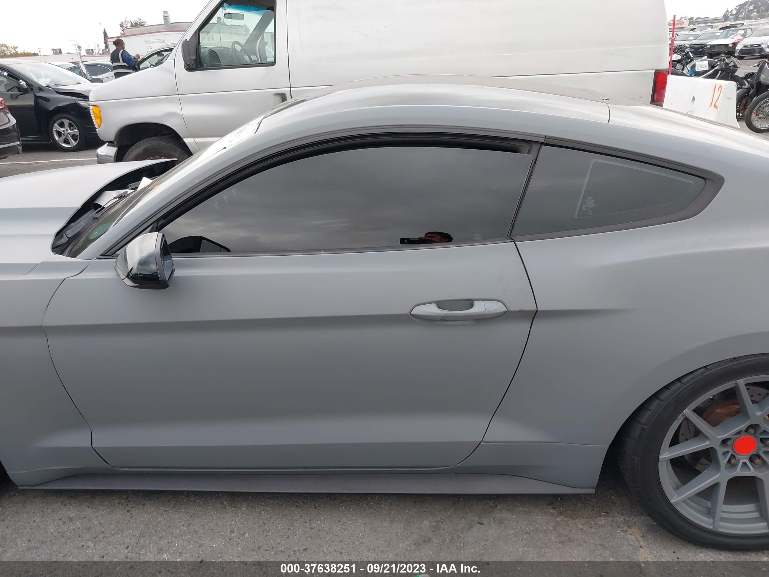 Photo 14 VIN: 1FA6P8AM3G5261163 - FORD MUSTANG 