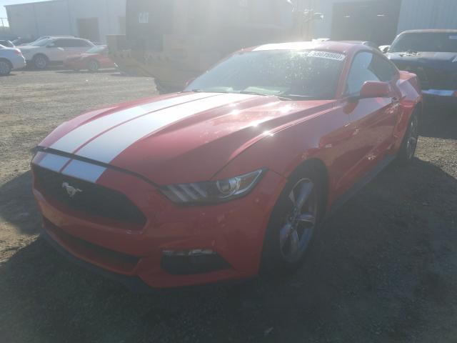 Photo 1 VIN: 1FA6P8AM3G5265617 - FORD MUSTANG 