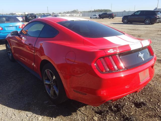 Photo 2 VIN: 1FA6P8AM3G5265617 - FORD MUSTANG 