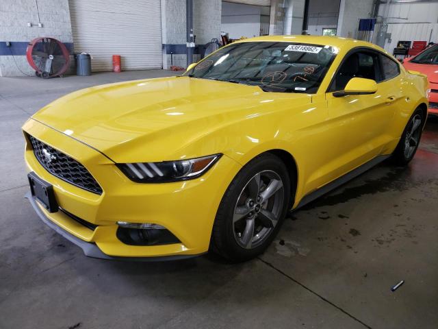 Photo 1 VIN: 1FA6P8AM3G5281381 - FORD MUSTANG 