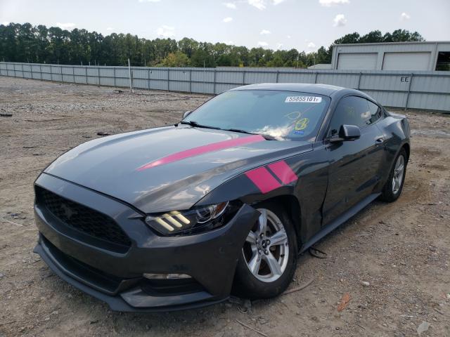 Photo 1 VIN: 1FA6P8AM3G5298438 - FORD MUSTANG 