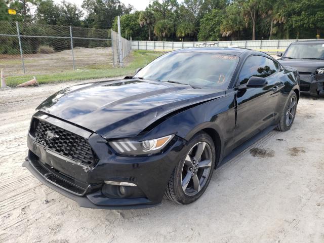 Photo 1 VIN: 1FA6P8AM3G5304710 - FORD MUSTANG 