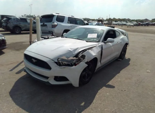 Photo 1 VIN: 1FA6P8AM3G5322852 - FORD MUSTANG 