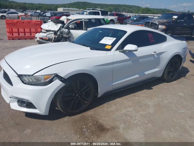 Photo 1 VIN: 1FA6P8AM3G5335620 - FORD MUSTANG 