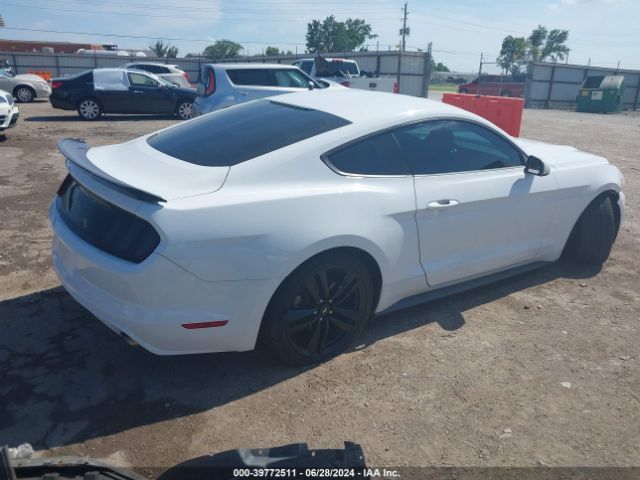 Photo 3 VIN: 1FA6P8AM3G5335620 - FORD MUSTANG 