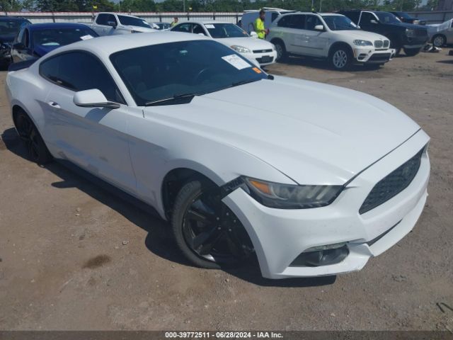 Photo 5 VIN: 1FA6P8AM3G5335620 - FORD MUSTANG 