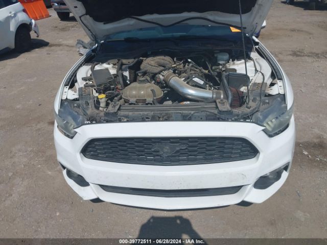 Photo 9 VIN: 1FA6P8AM3G5335620 - FORD MUSTANG 