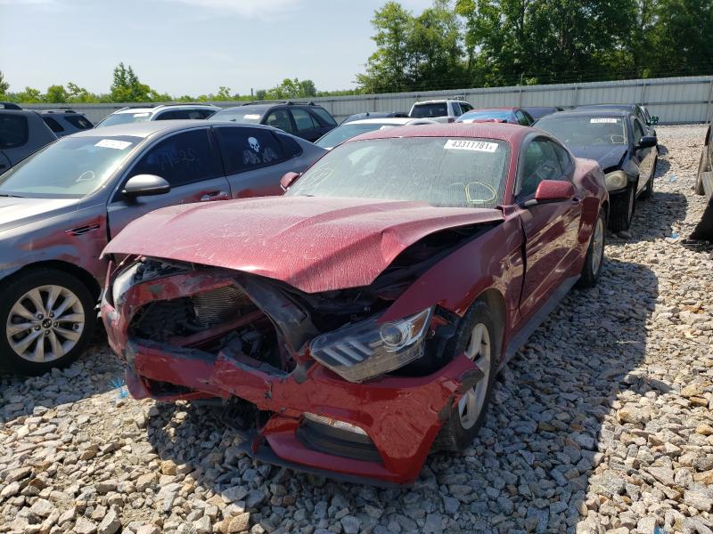 Photo 1 VIN: 1FA6P8AM3H5209274 - FORD MUSTANG 