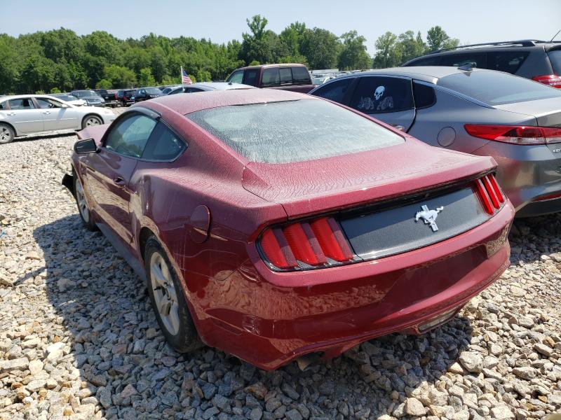 Photo 2 VIN: 1FA6P8AM3H5209274 - FORD MUSTANG 