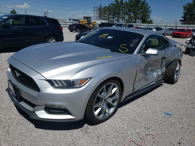 Photo 1 VIN: 1FA6P8AM3H5219464 - FORD MUSTANG 