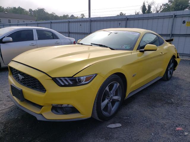 Photo 1 VIN: 1FA6P8AM3H5232490 - FORD MUSTANG 