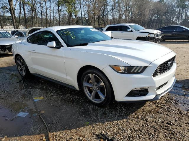 Photo 3 VIN: 1FA6P8AM4F5314905 - FORD MUSTANG 