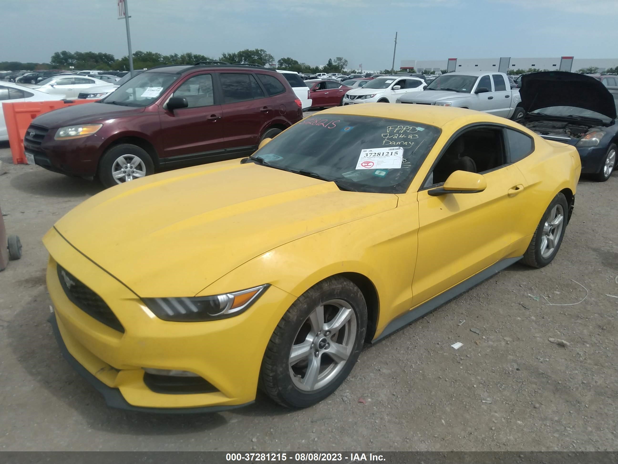 Photo 1 VIN: 1FA6P8AM4F5332692 - FORD MUSTANG 