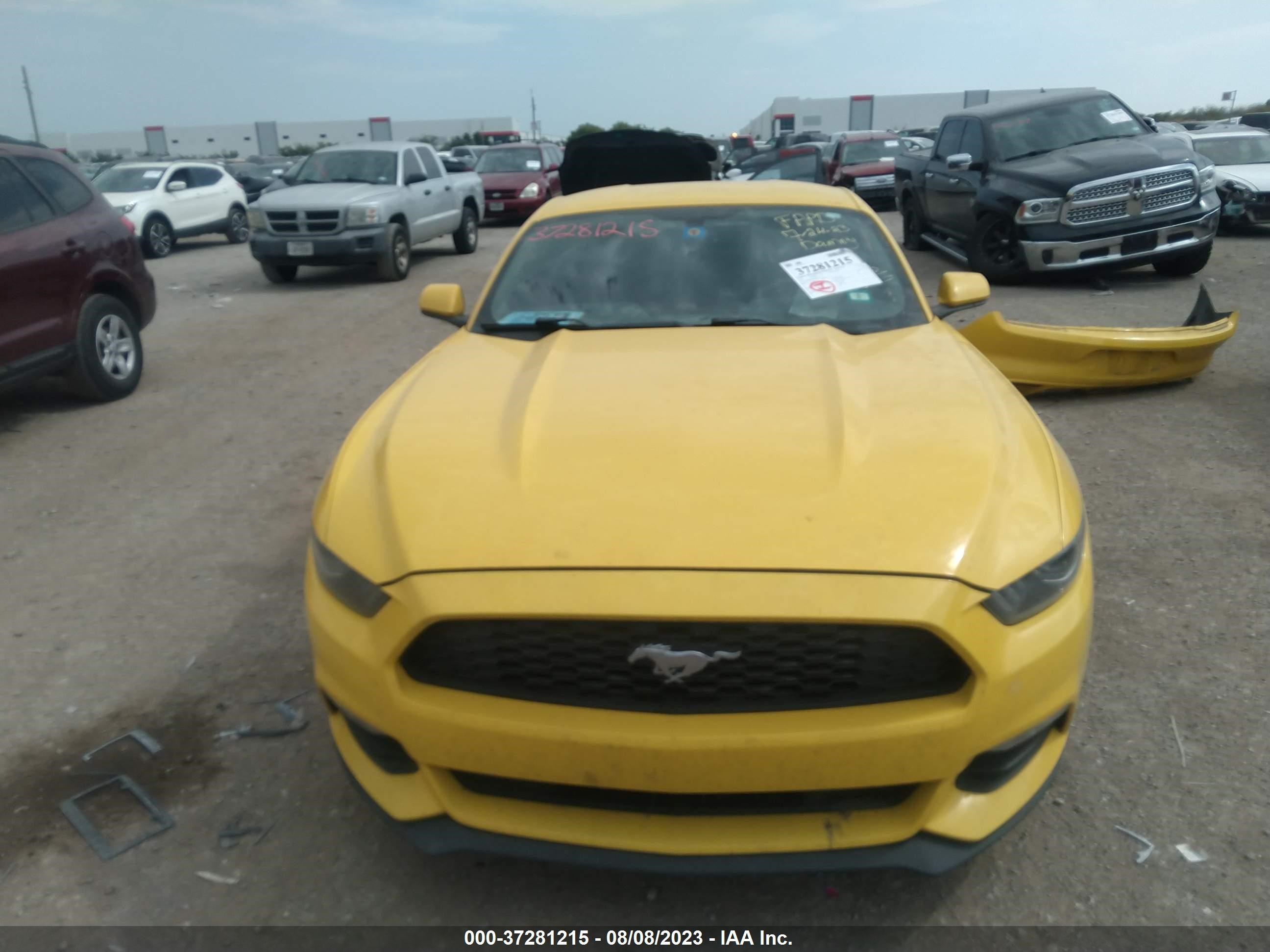 Photo 11 VIN: 1FA6P8AM4F5332692 - FORD MUSTANG 