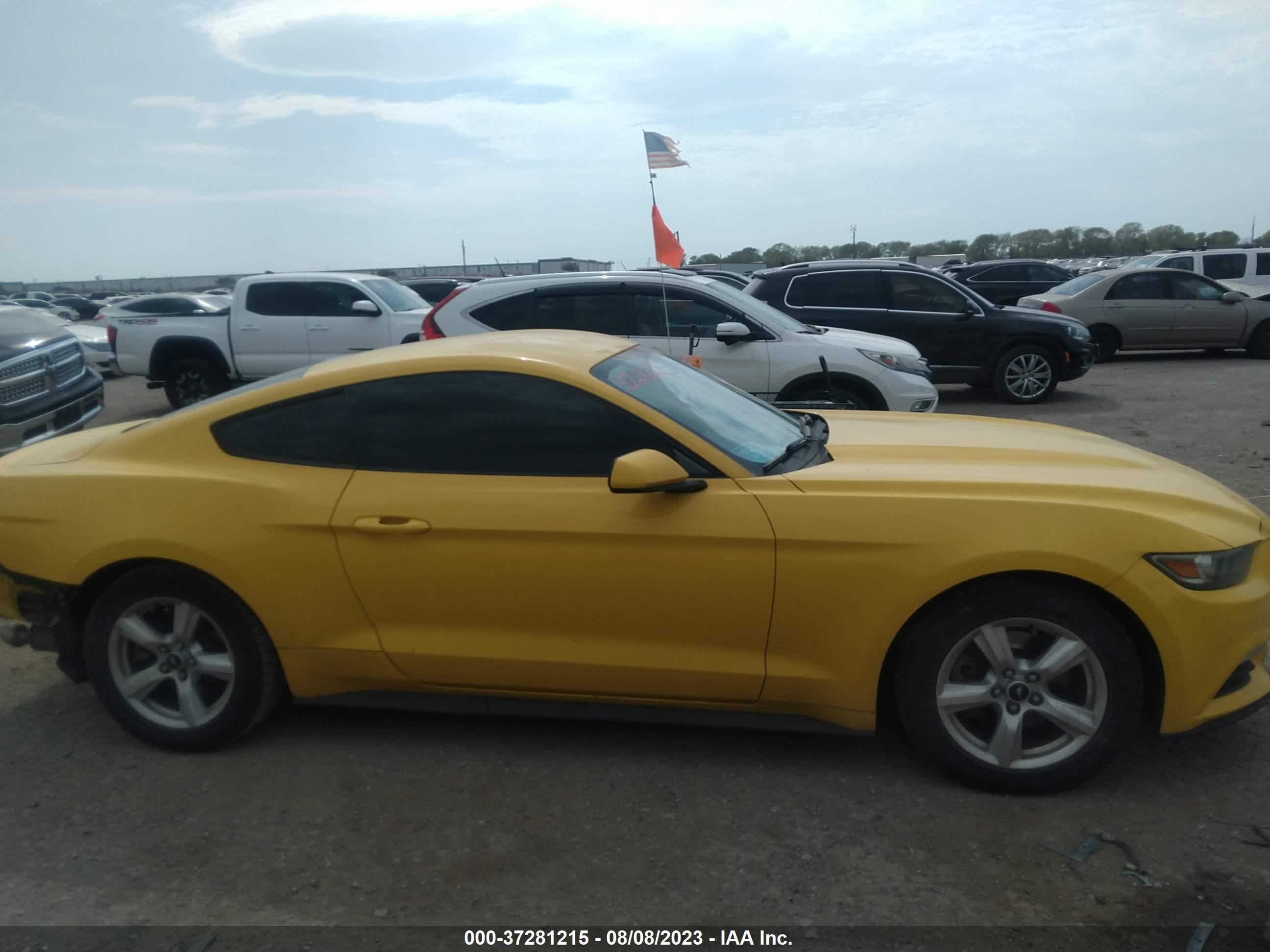 Photo 12 VIN: 1FA6P8AM4F5332692 - FORD MUSTANG 