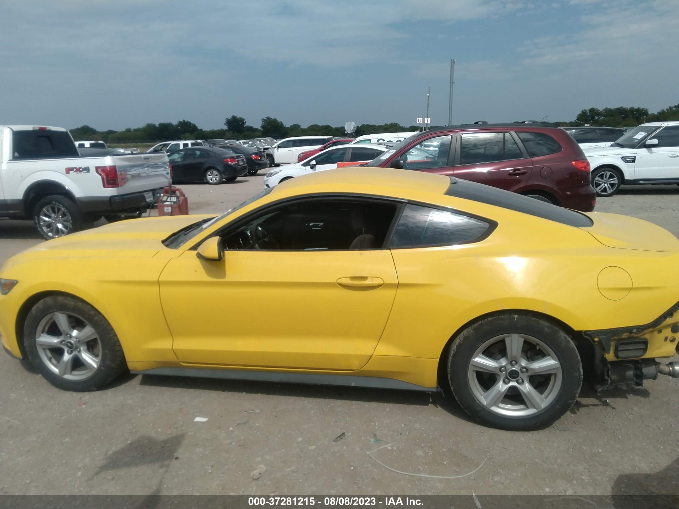 Photo 13 VIN: 1FA6P8AM4F5332692 - FORD MUSTANG 