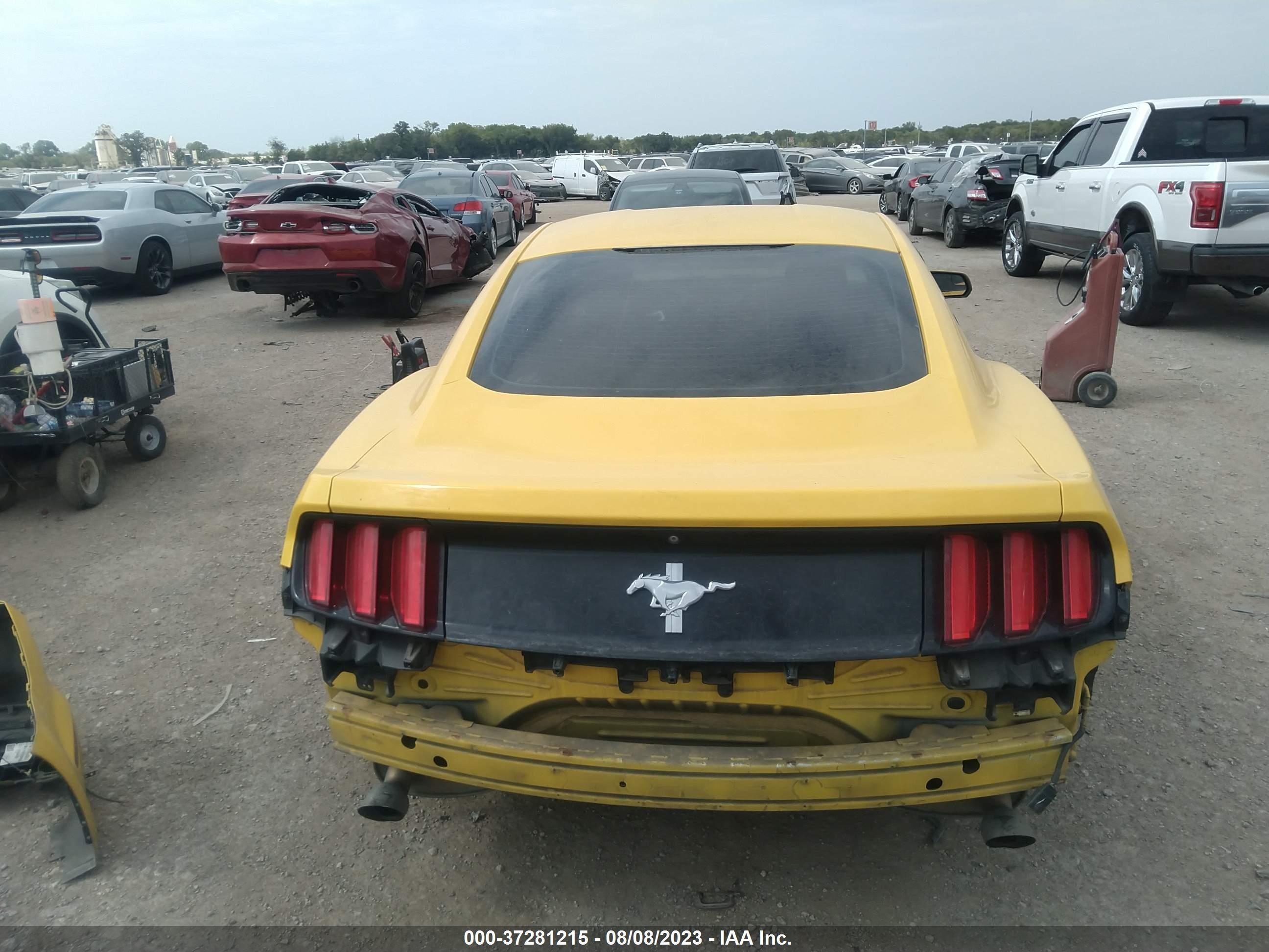 Photo 15 VIN: 1FA6P8AM4F5332692 - FORD MUSTANG 