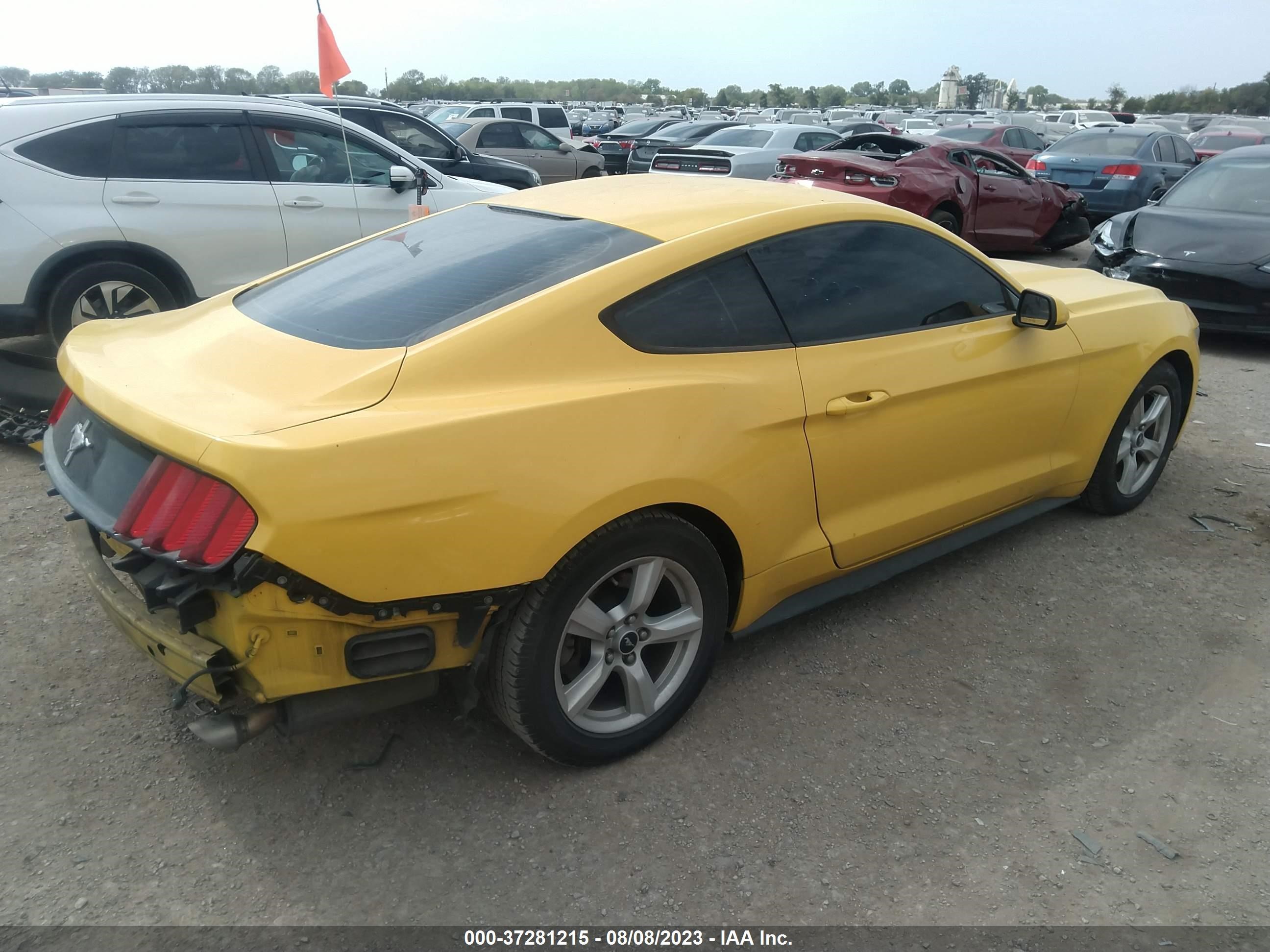 Photo 3 VIN: 1FA6P8AM4F5332692 - FORD MUSTANG 