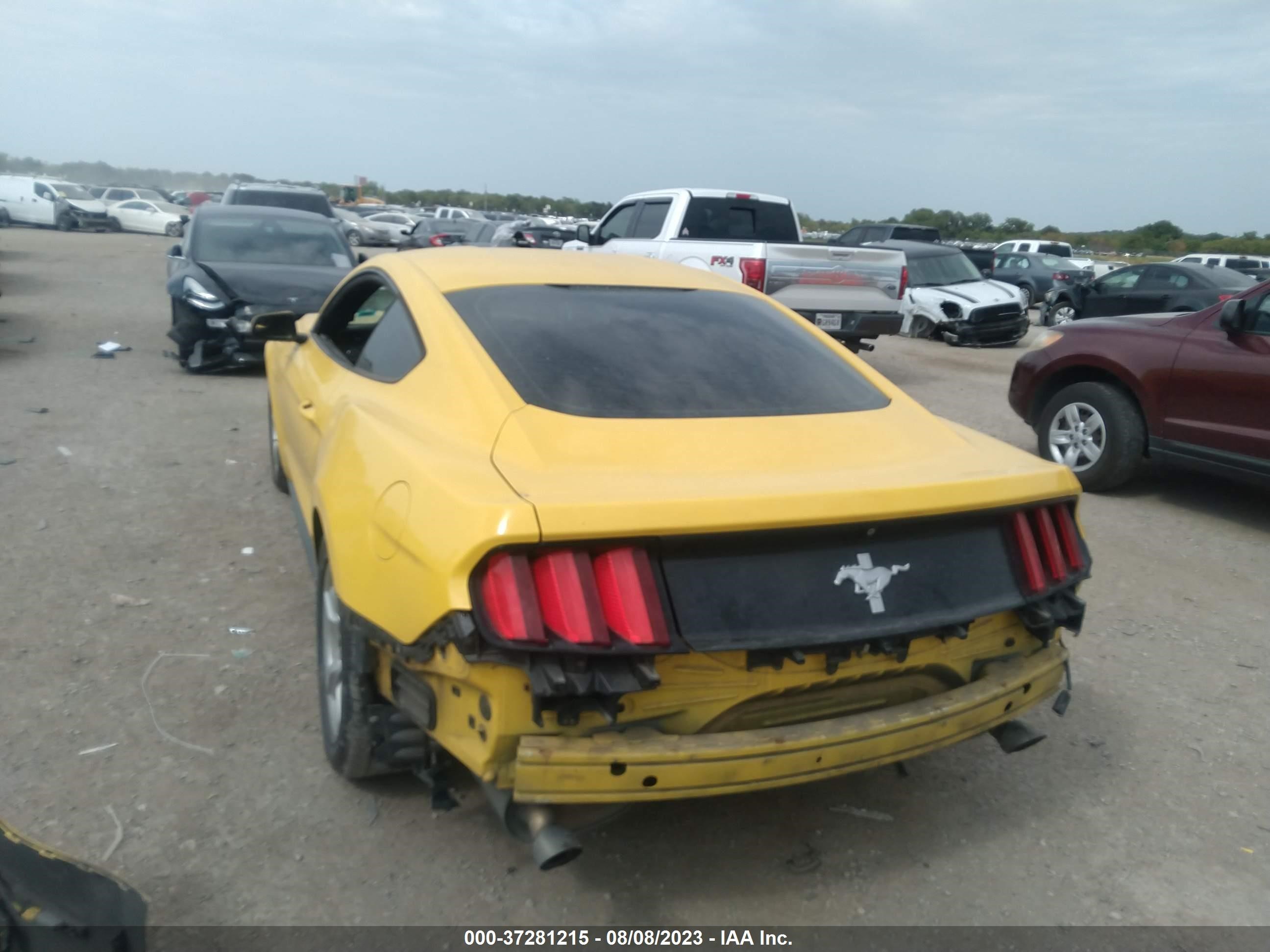 Photo 5 VIN: 1FA6P8AM4F5332692 - FORD MUSTANG 