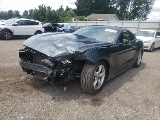 Photo 1 VIN: 1FA6P8AM4F5348181 - FORD MUSTANG 