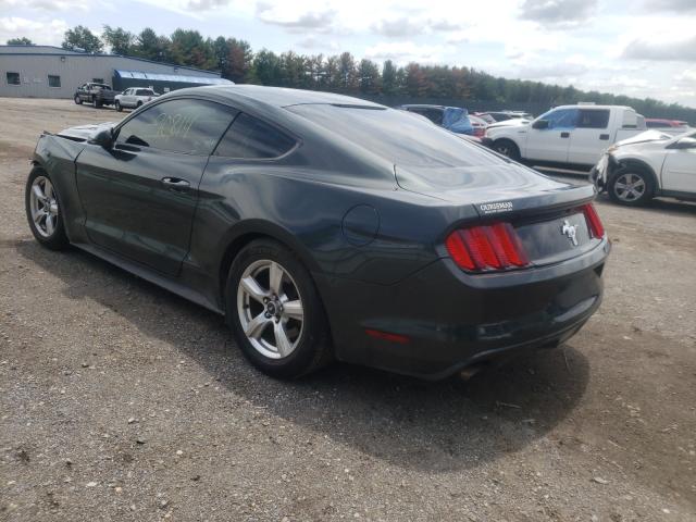 Photo 2 VIN: 1FA6P8AM4F5348181 - FORD MUSTANG 