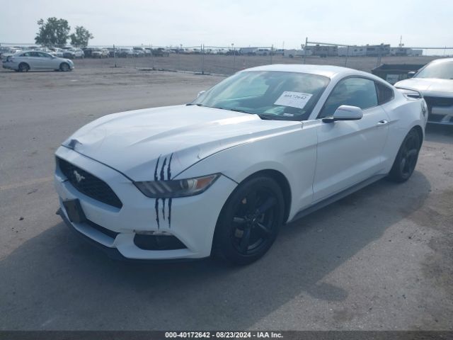 Photo 1 VIN: 1FA6P8AM4F5353784 - FORD MUSTANG 