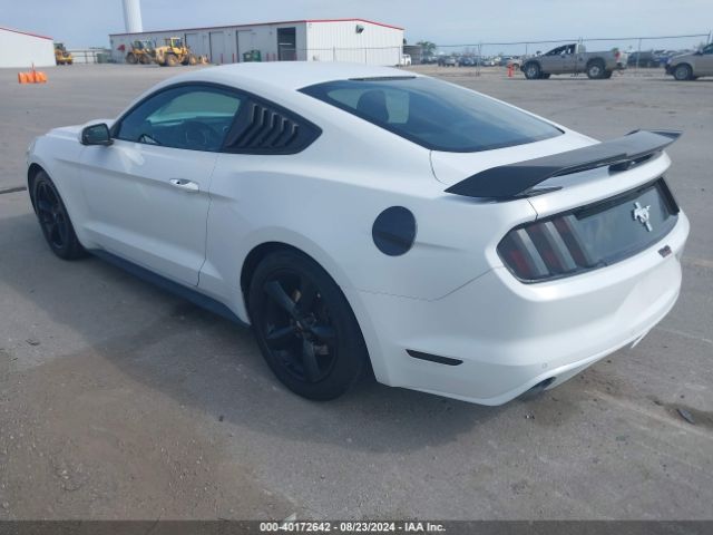 Photo 2 VIN: 1FA6P8AM4F5353784 - FORD MUSTANG 