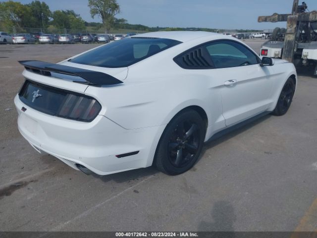 Photo 3 VIN: 1FA6P8AM4F5353784 - FORD MUSTANG 