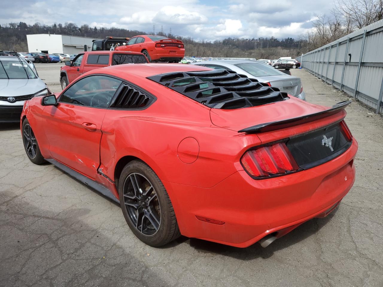 Photo 1 VIN: 1FA6P8AM4F5354594 - FORD MUSTANG 