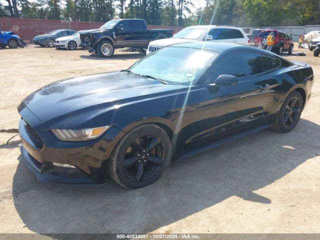 Photo 1 VIN: 1FA6P8AM4F5364462 - FORD MUSTANG 