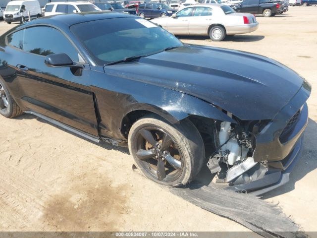 Photo 5 VIN: 1FA6P8AM4F5364462 - FORD MUSTANG 